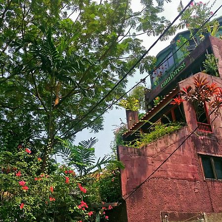 קואלה לומפור Rainforest Bed & Breakfast מראה חיצוני תמונה