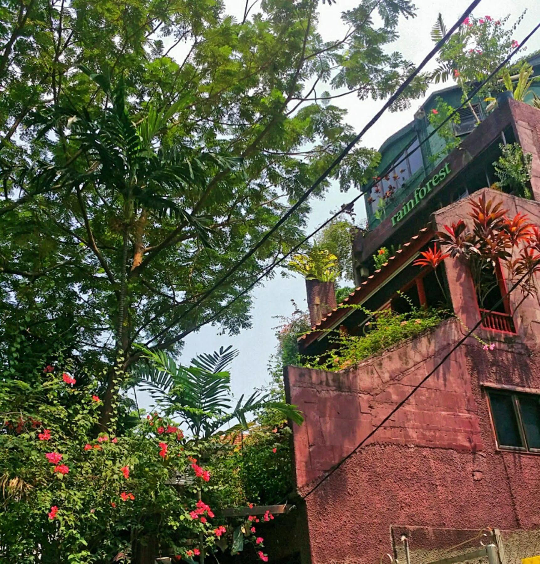 קואלה לומפור Rainforest Bed & Breakfast מראה חיצוני תמונה
