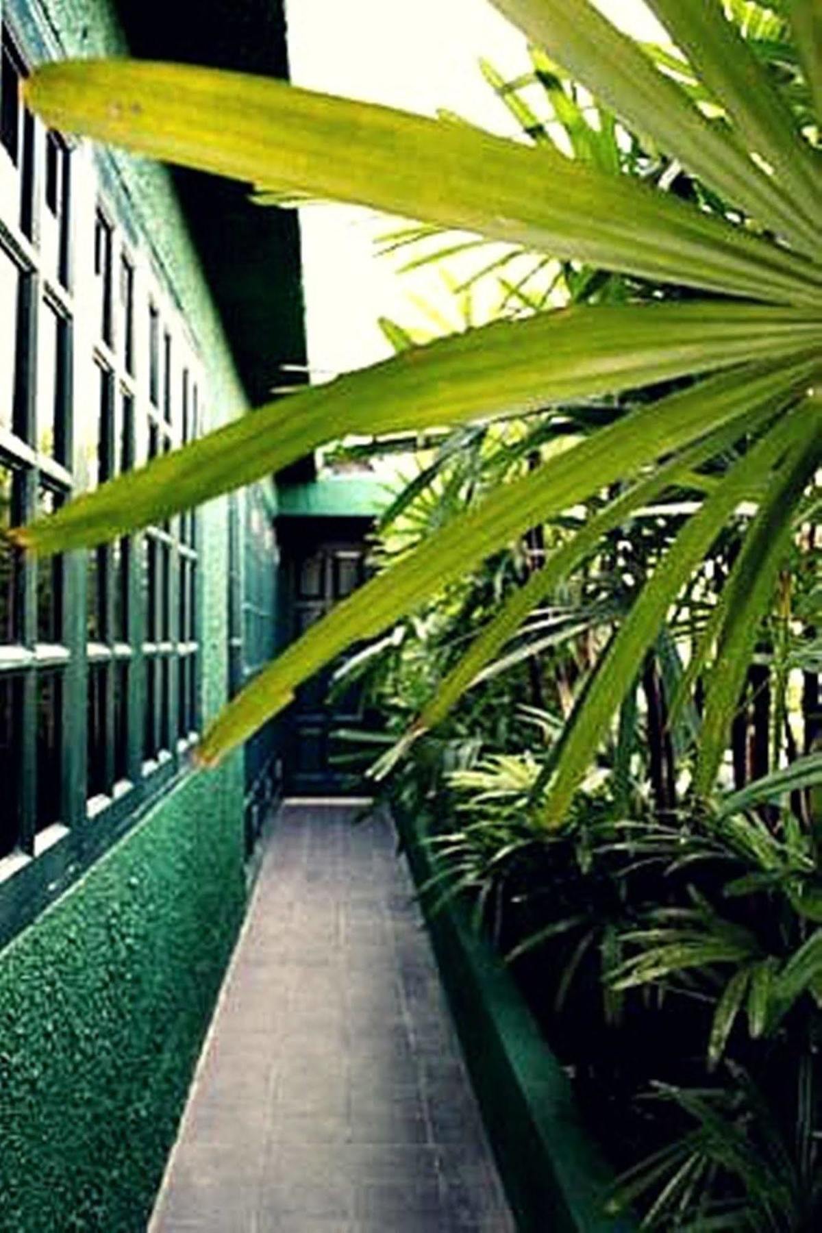 קואלה לומפור Rainforest Bed & Breakfast מראה חיצוני תמונה